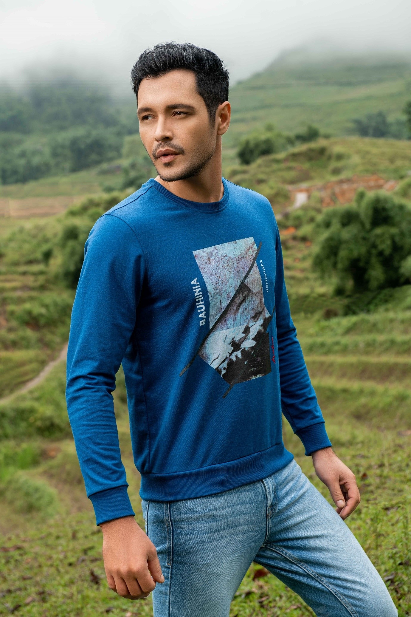Aristino ảnh 3 Aristino anh 3