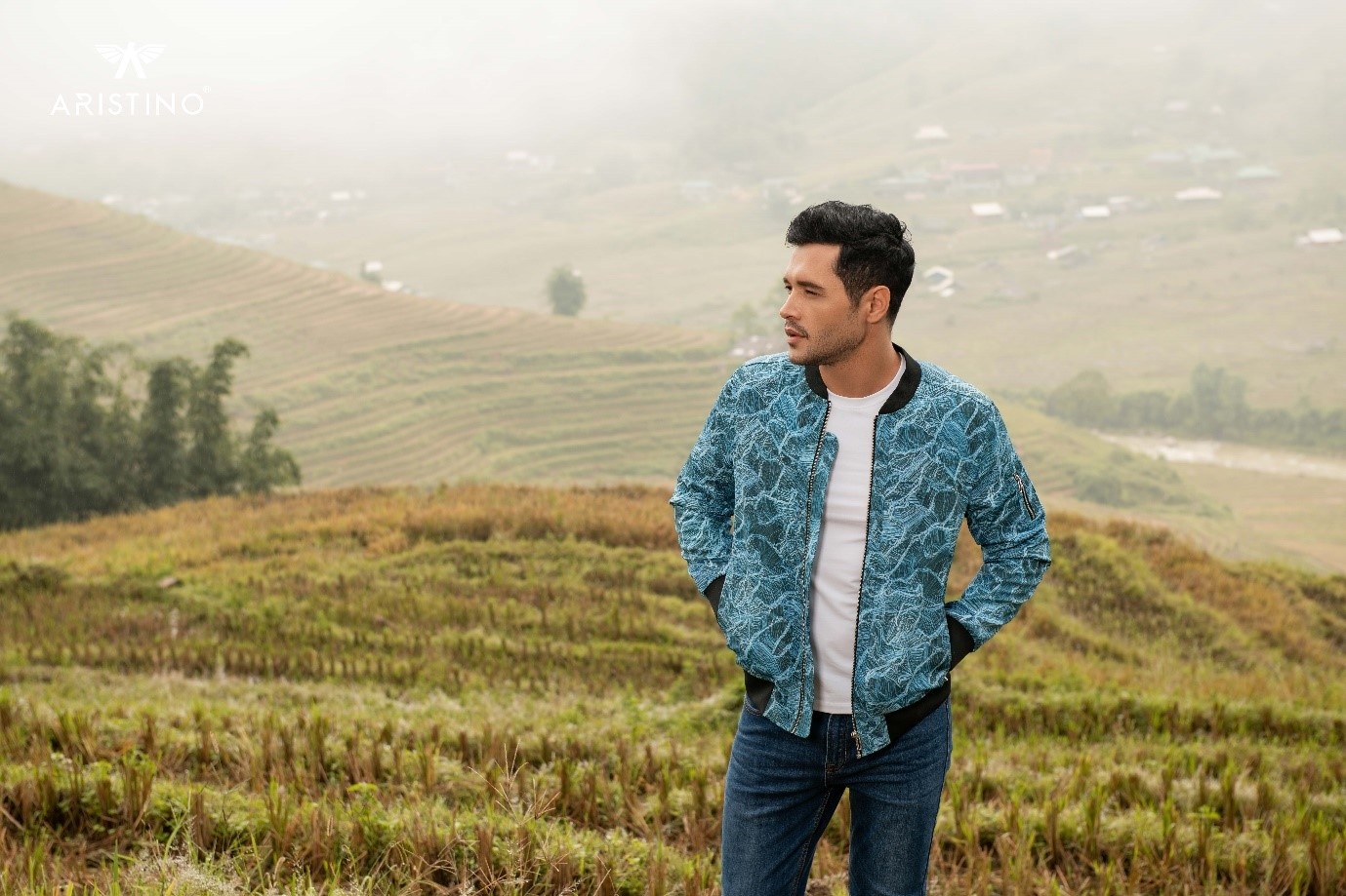 Aristino ảnh 5 Aristino anh 5