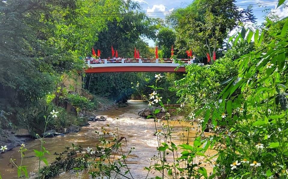 Chiếc cầu nối nhịp tri thức ảnh 5 Chiec cau noi nhip tri thuc anh 5