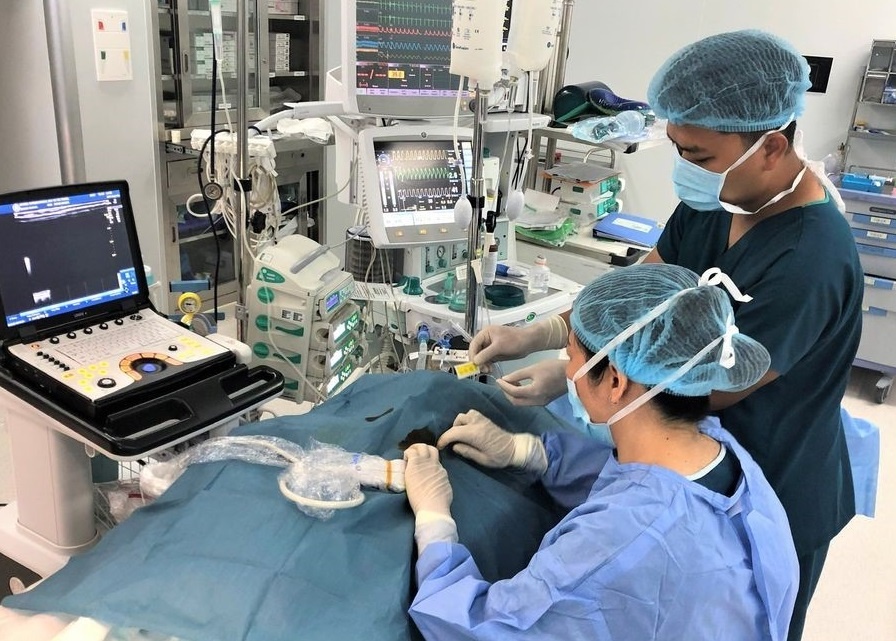 Vinmec cong bo nghien cuu ve giam dau trong mo tim ho tre em hinh anh