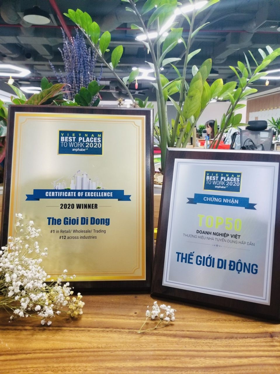 The Gioi Di Dong anh 2