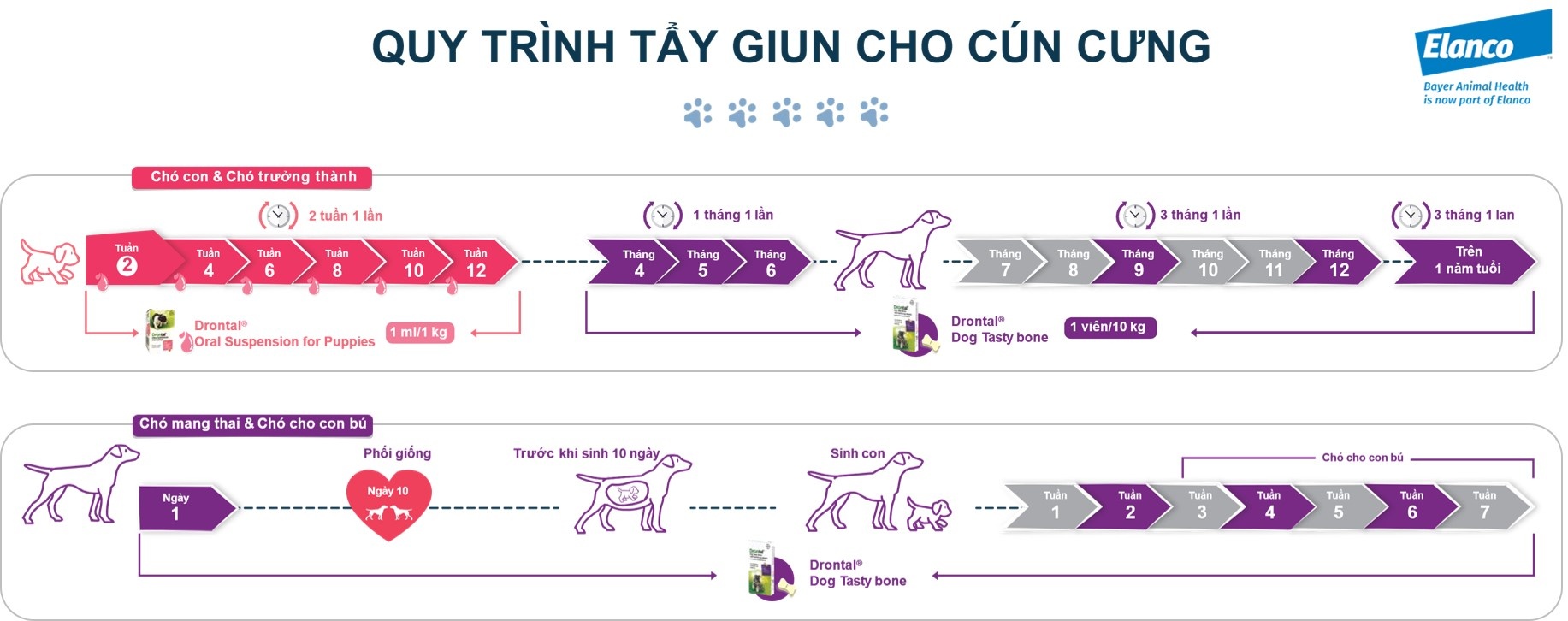 Nuôi thú cưng có trách nhiệm ảnh 3 Nuoi thu cung co trach nhiem anh 3