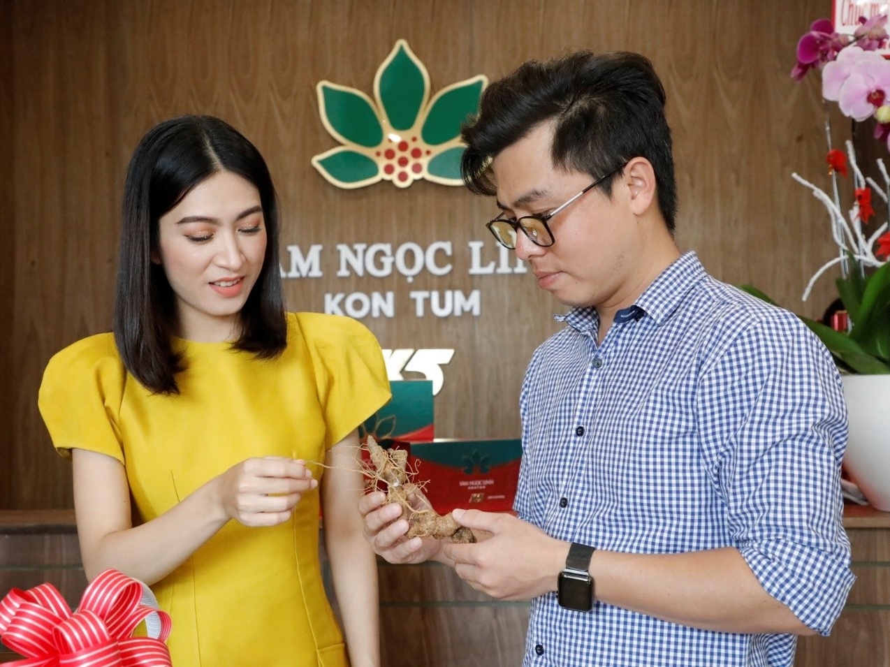 Sam Ngoc Linh Kon Tum duoc phan phoi tai TP.HCM hinh anh