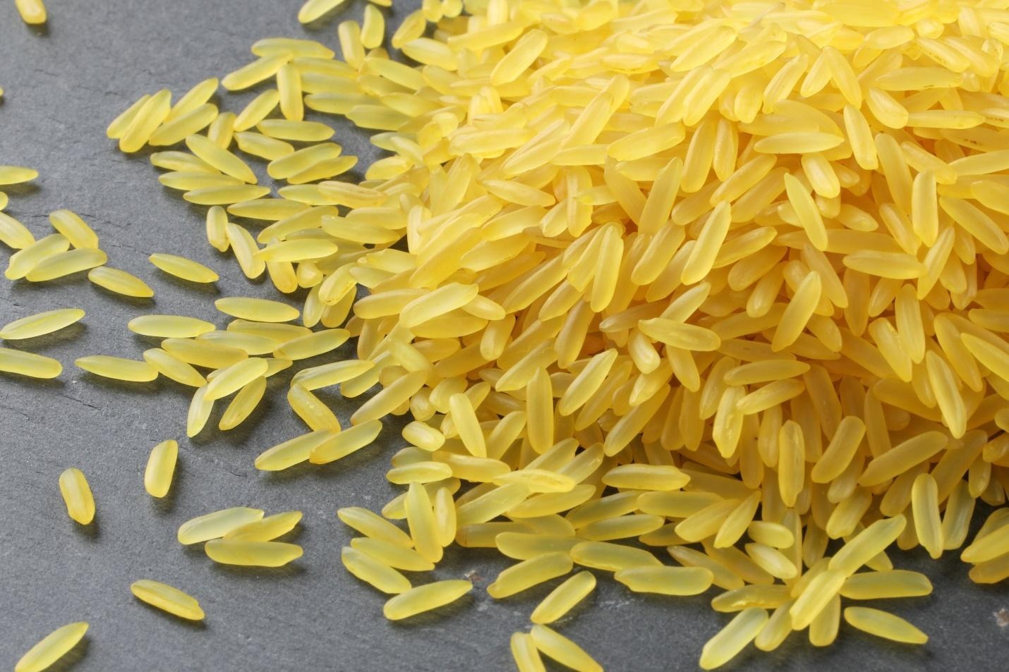 Su khac biet cua gao mam voi gao lut, gao trang hinh anh