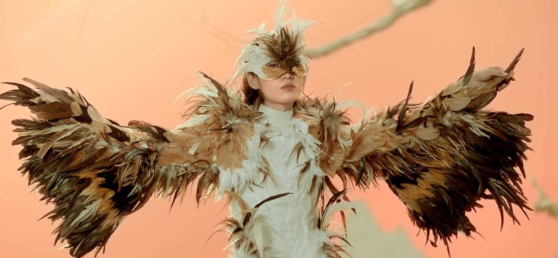 Dương Quá Căng, Hydra ảnh 4 Duong Qua Cang, Hydra anh 4