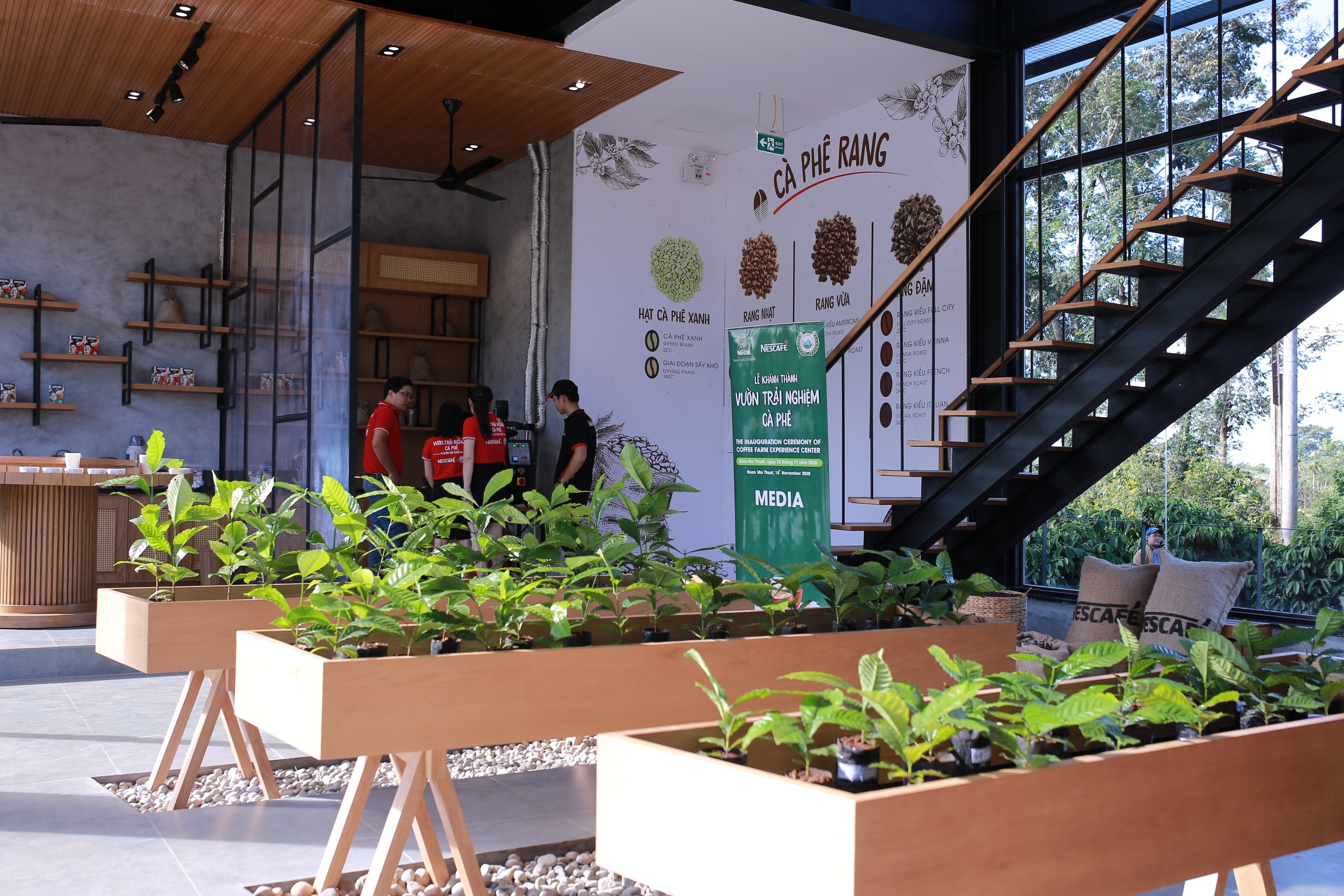 Khong gian trai nghiem ke chuyen vong doi hat ca phe Tay Nguyen hinh anh