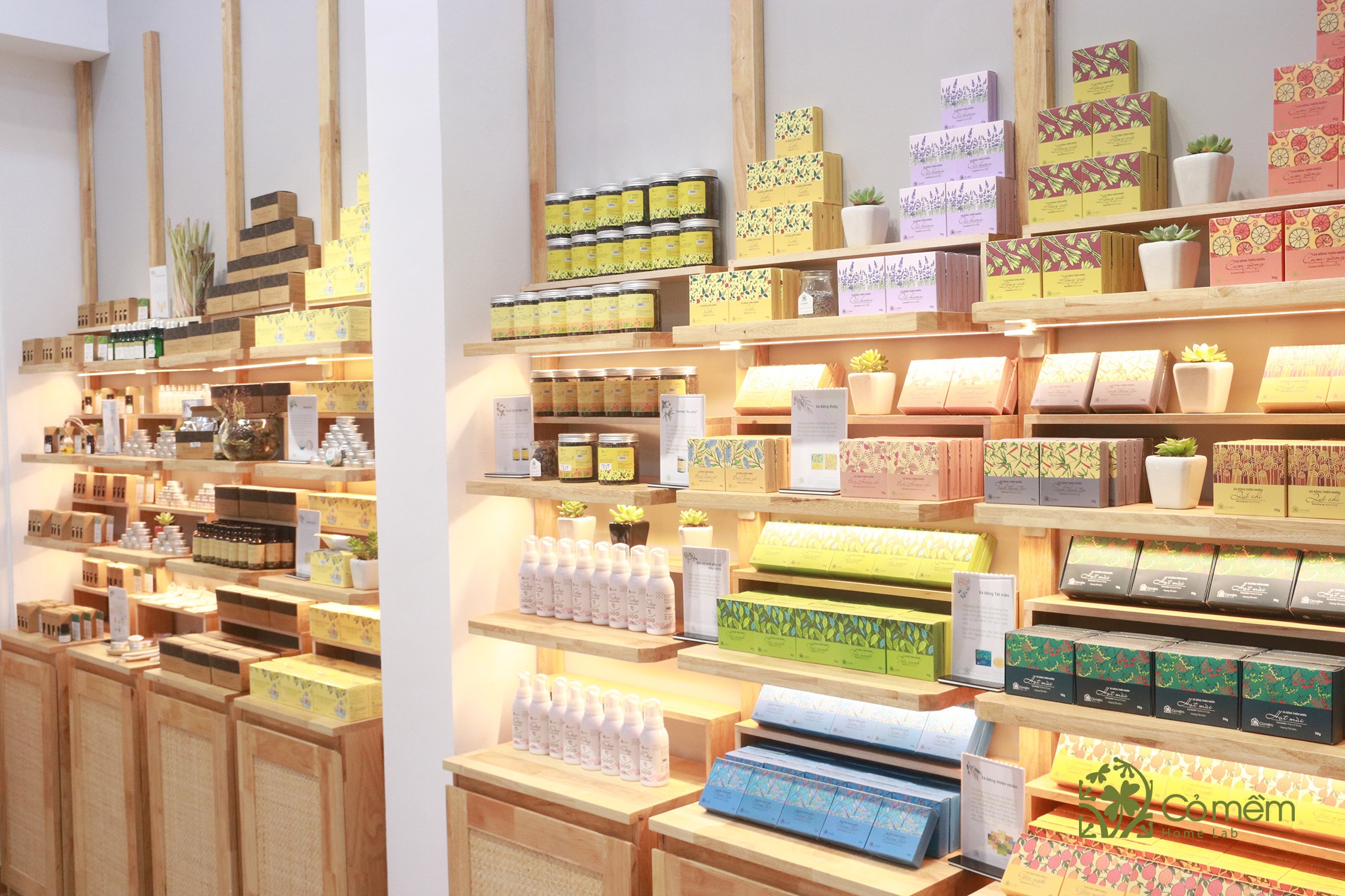 my pham Co Mem anh 2