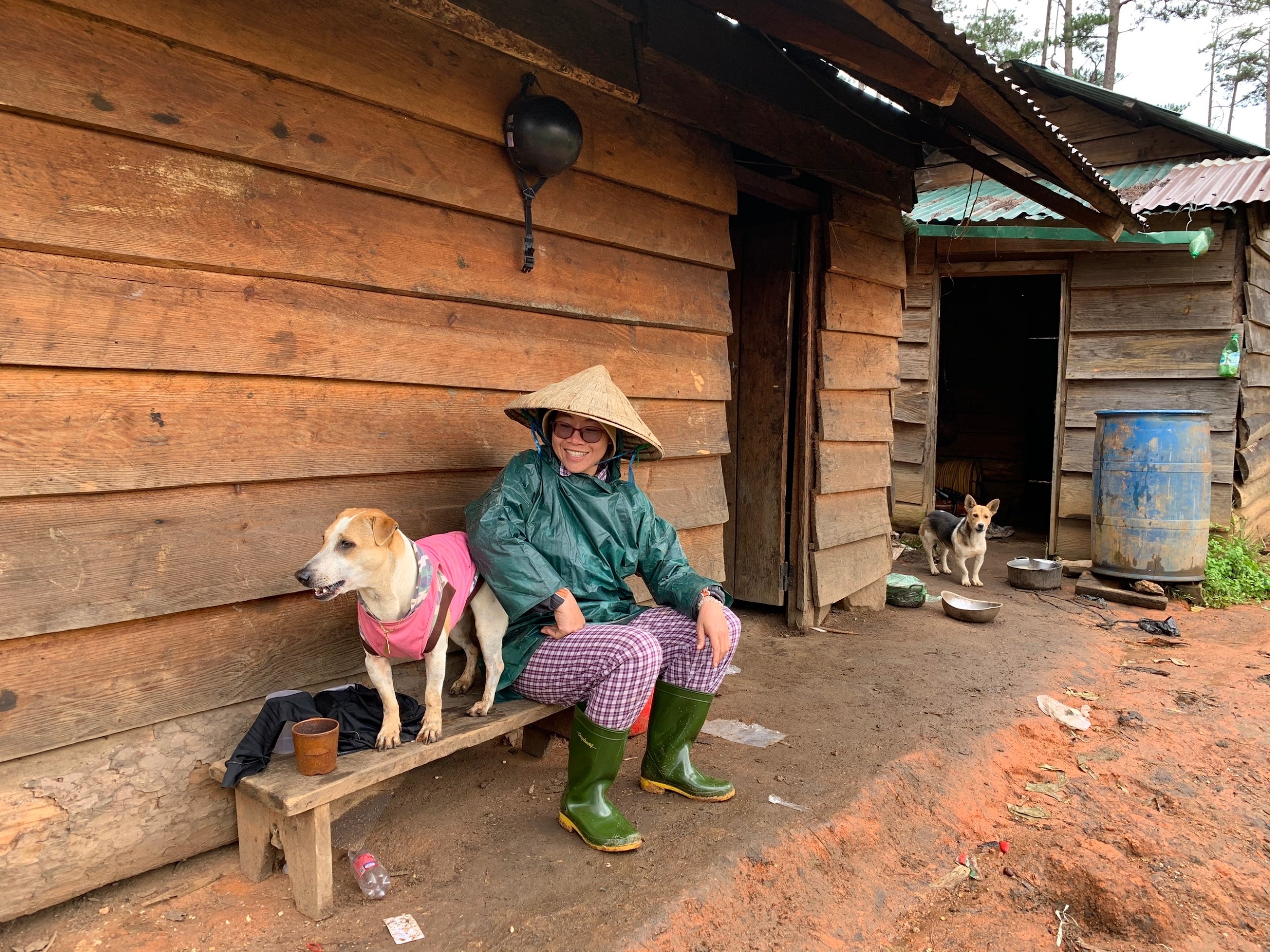 Trong rau sach anh 2