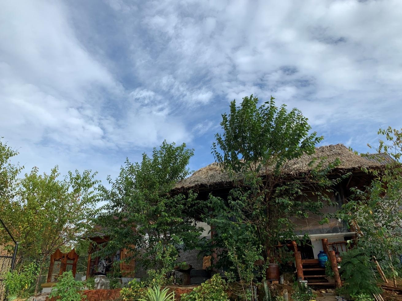 Trong rau sach anh 3