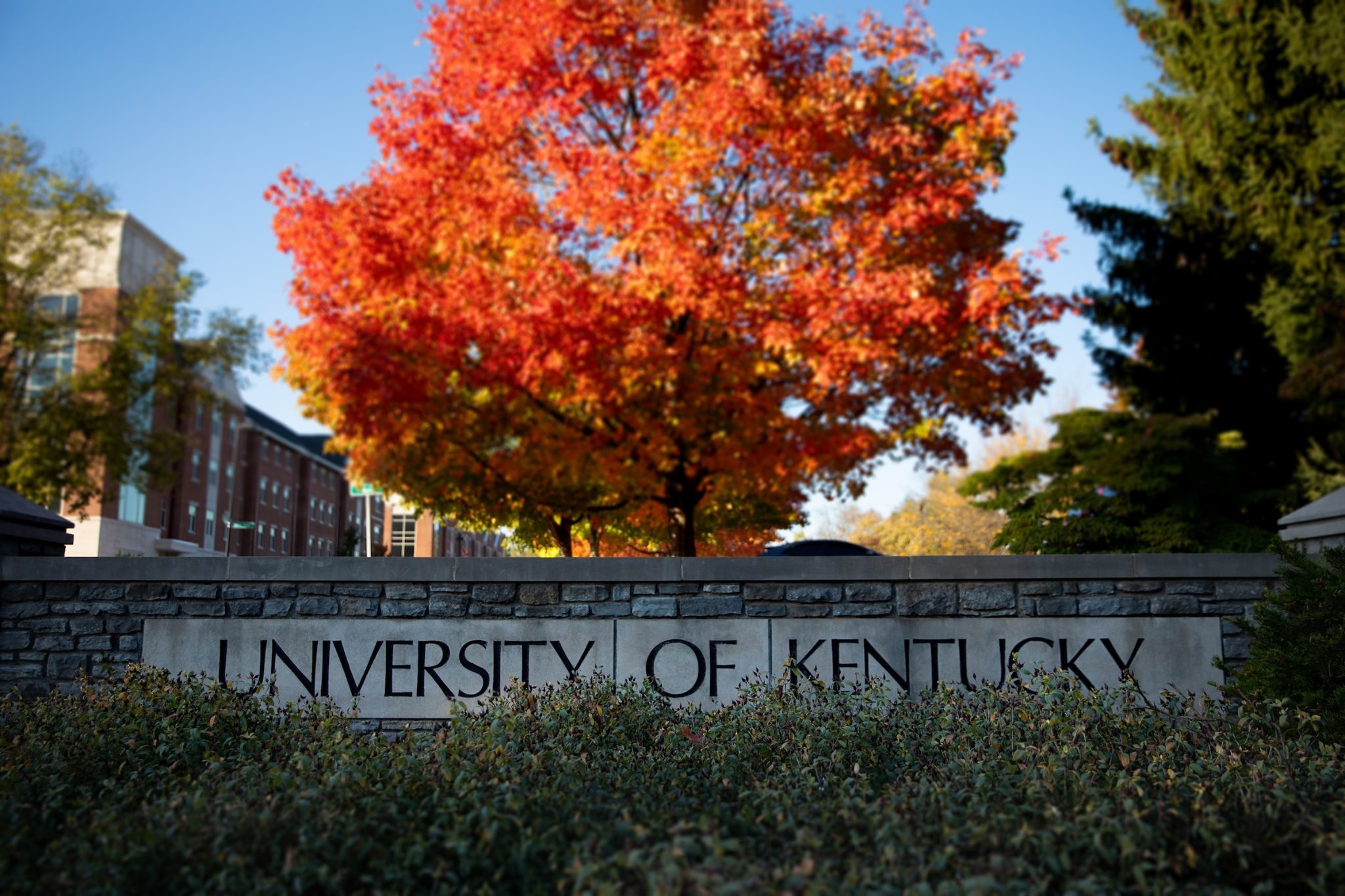 Capstone Viet Nam anh 1