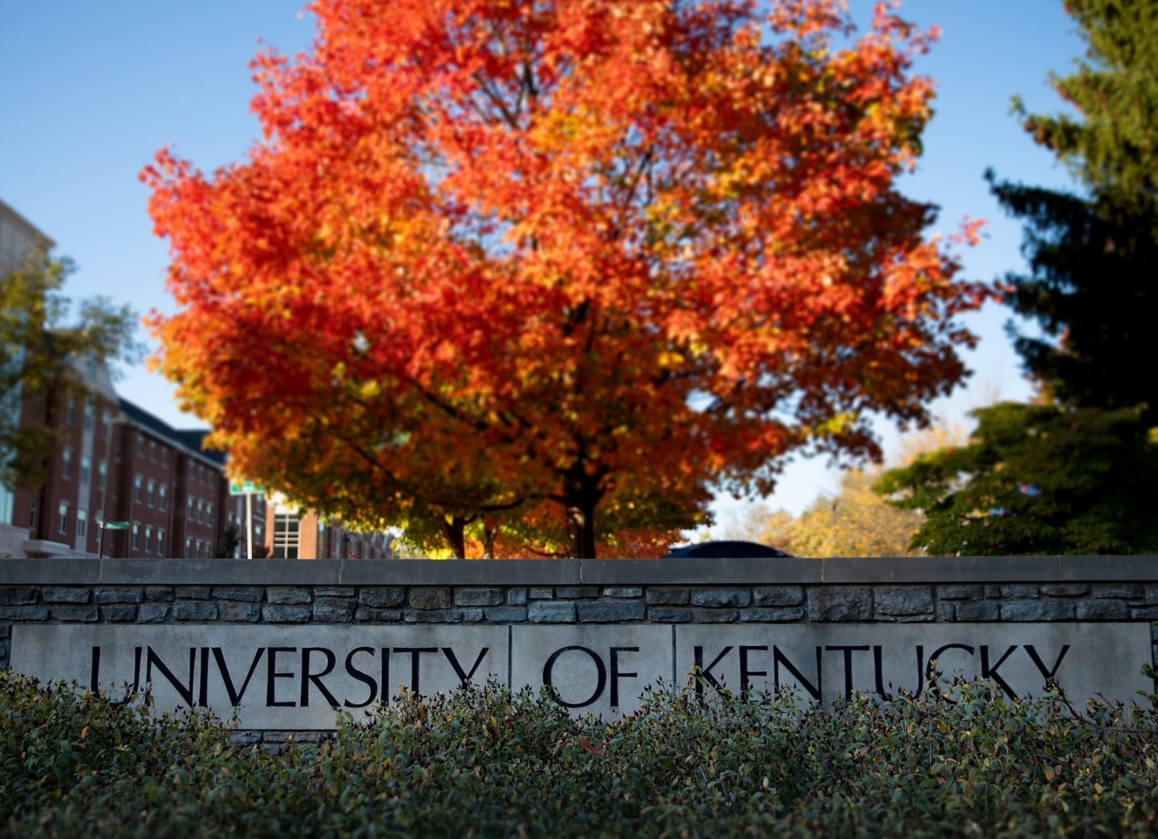 Co hoi nhan hoc bong den 100% tai Dai hoc Kentucky, My hinh anh