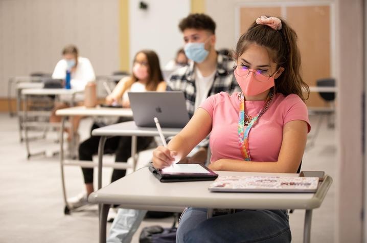 Capstone Viet Nam anh 3