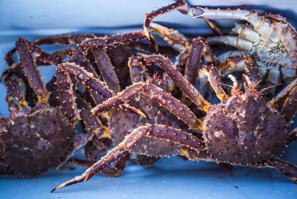 Cua hoang de gia sieu re ve Viet Nam lai dat ky luc hinh anh