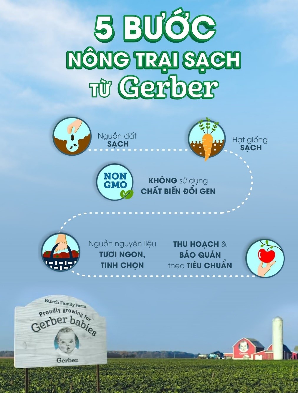 Gerber Organic ảnh 4 Gerber Organic anh 4