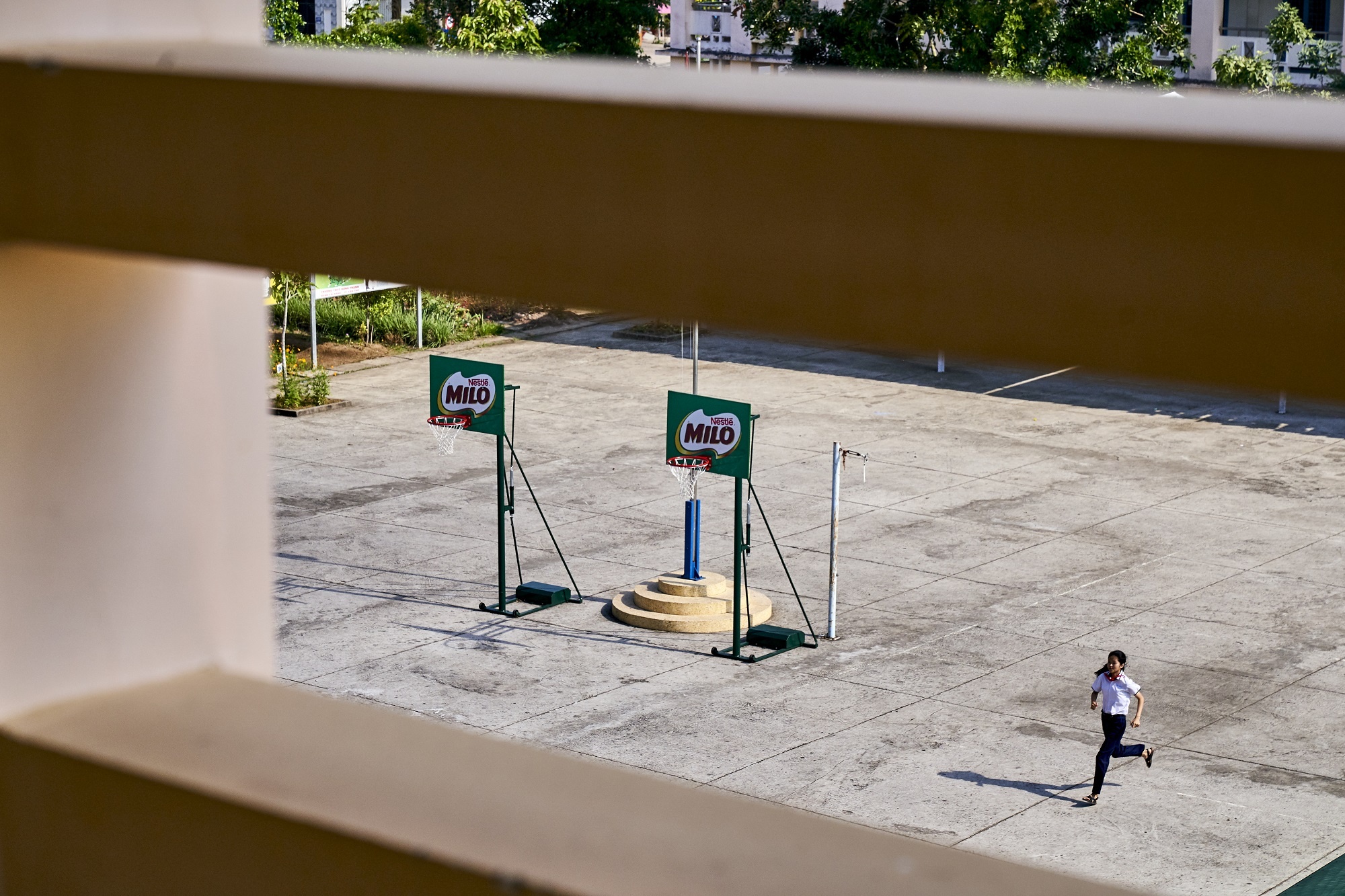 Nestlé Milo ảnh 11 Nestle Milo anh 11