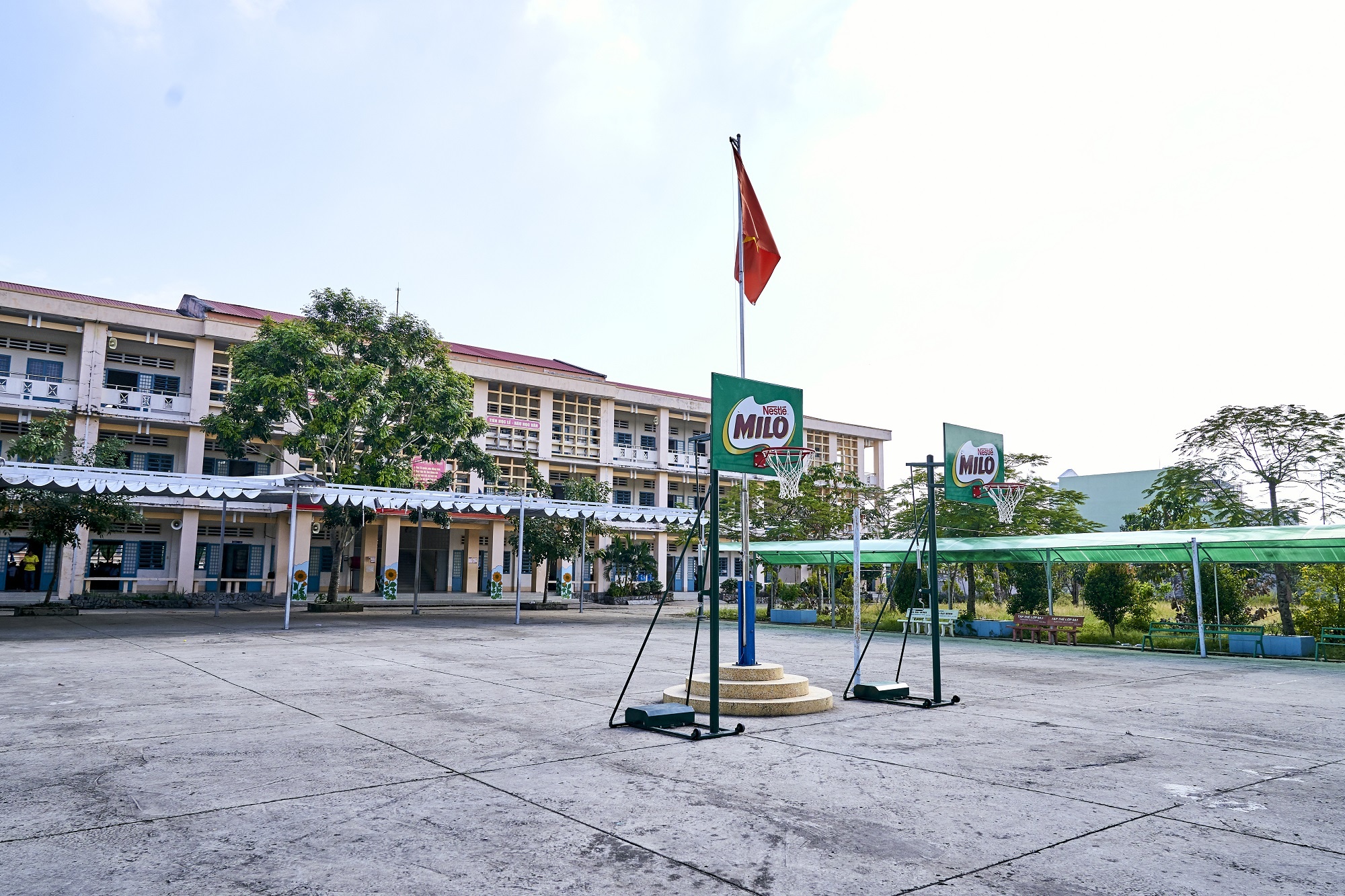 Nestlé Milo ảnh 10 Nestle Milo anh 10