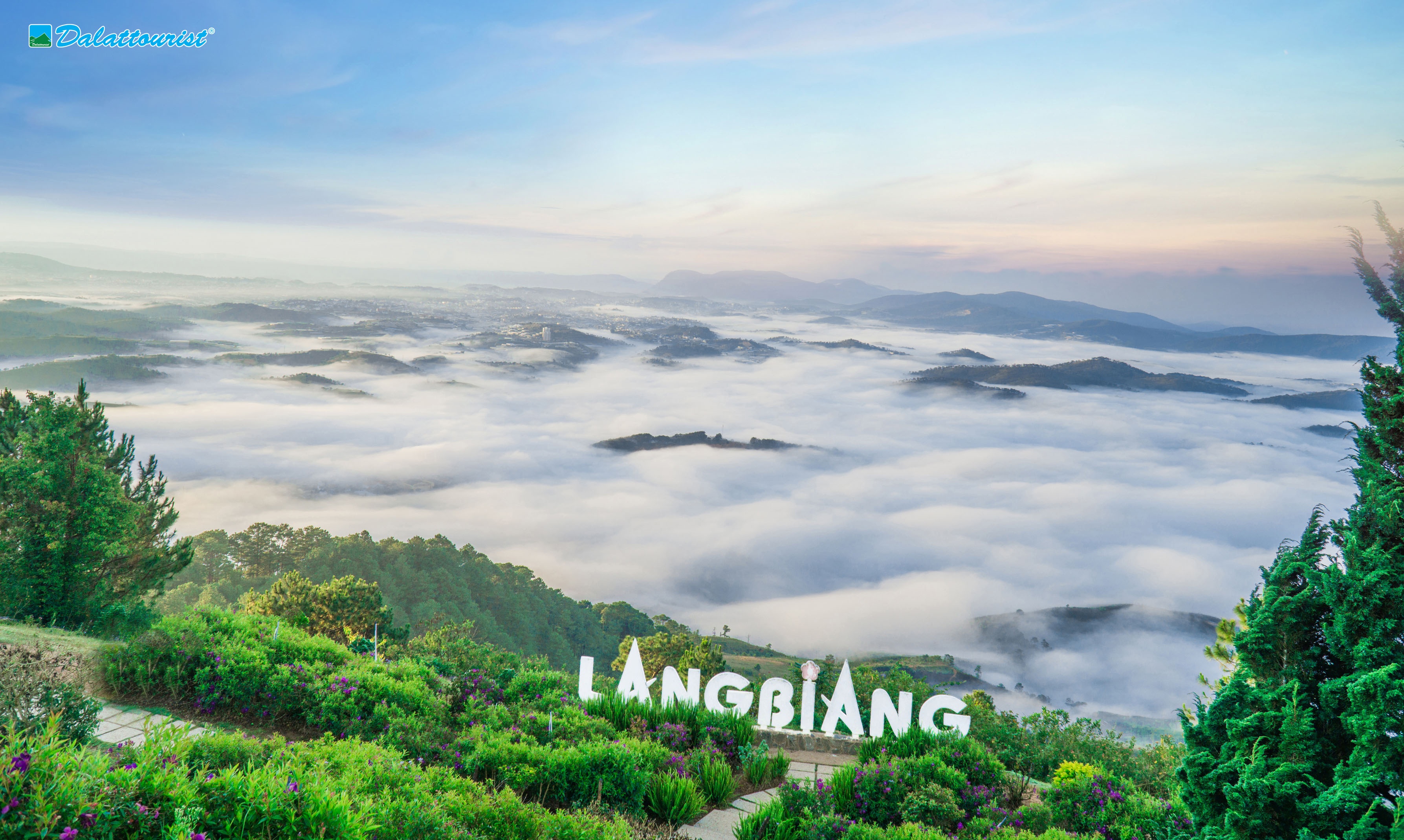 Dalattourist ảnh 3 Dalattourist anh 3