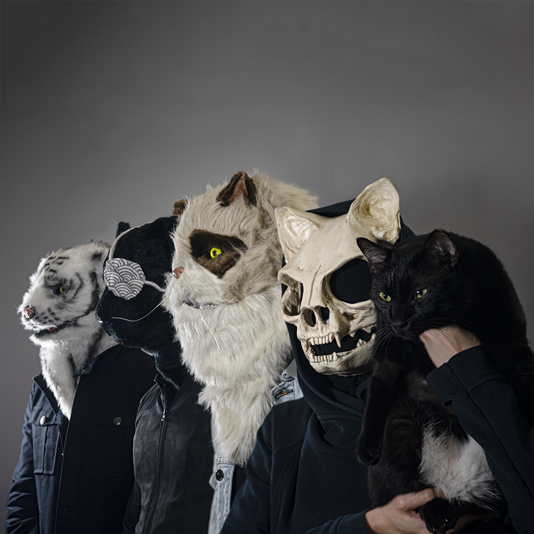 Vans Musicians Wanted 2020 ảnh 10 Vans Musicians Wanted 2020 anh 10