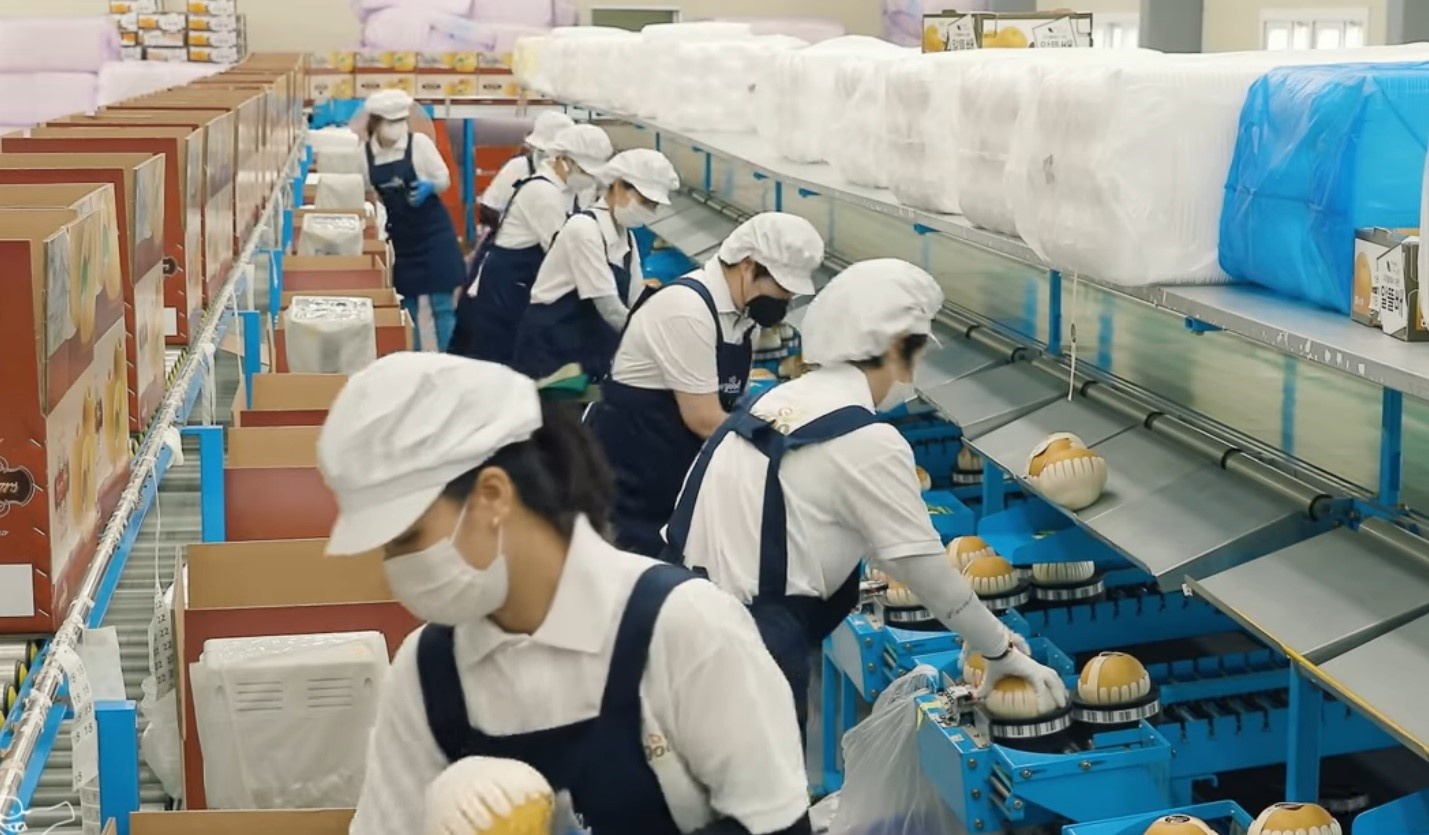 Yeu to giup le Han Quoc tro thanh qua tang cao cap hinh anh