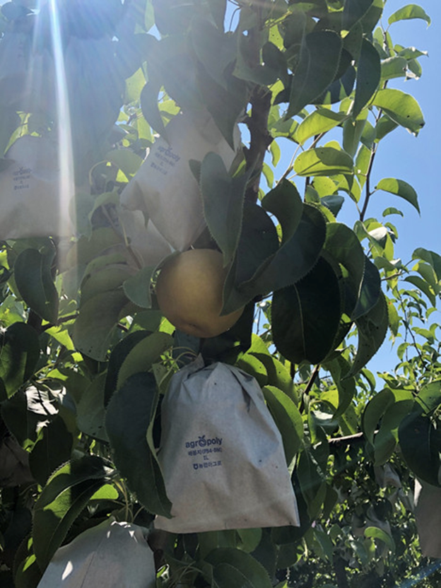 Evergood  ảnh 2 Evergood anh 2