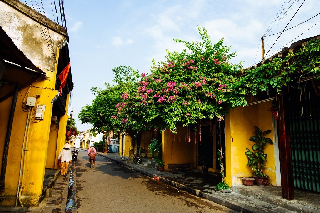 fiditour ảnh 4 fiditour anh 4