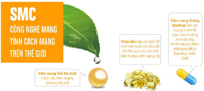 ho tro tan cuc mau dong anh 2