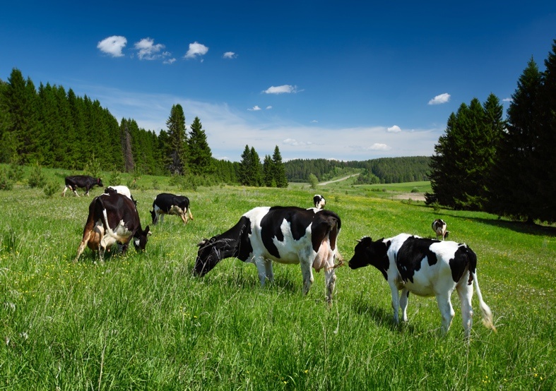 sữa nhập khẩu ảnh 1 sua nhap khau anh 1