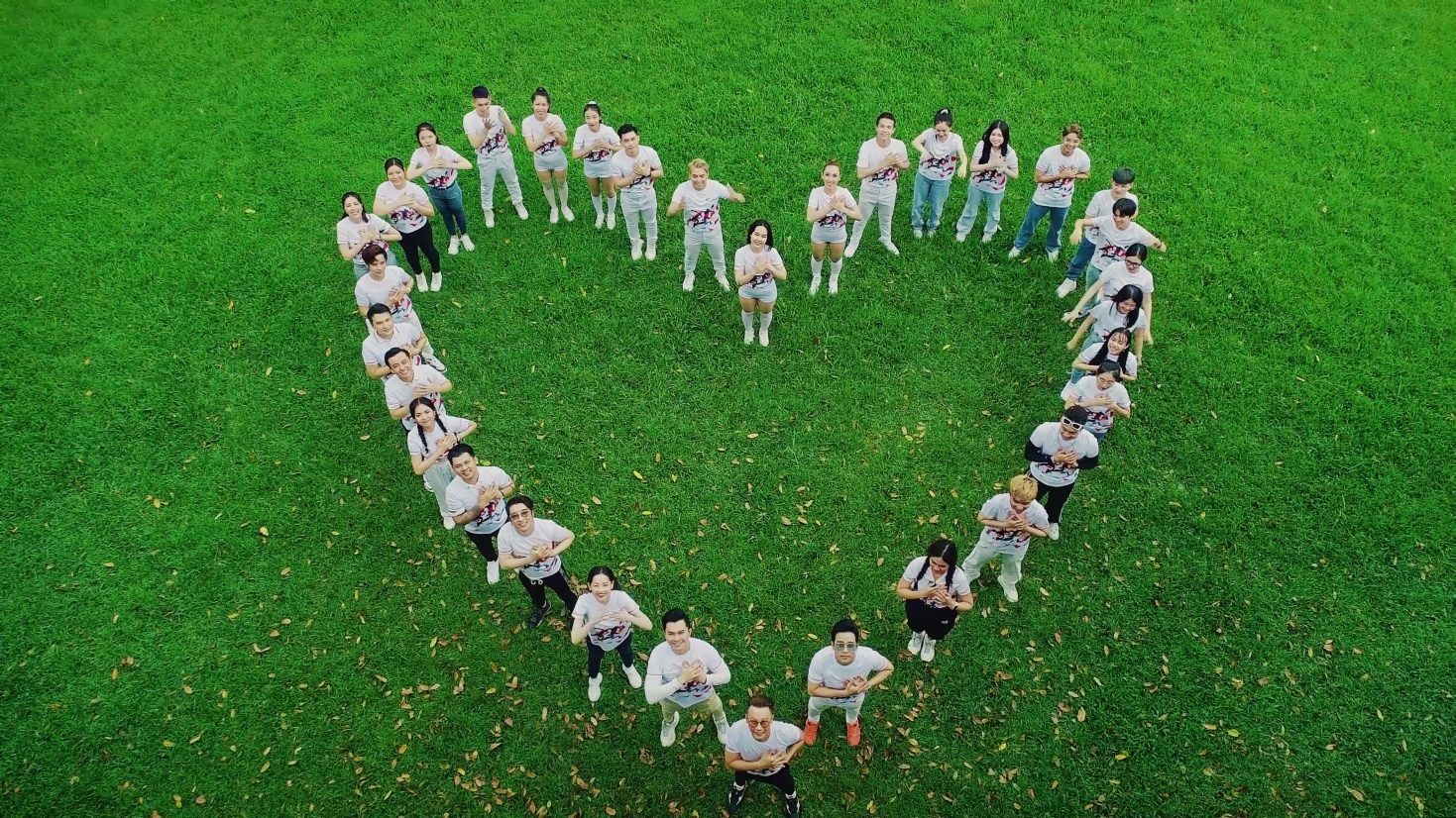 Hon 30 nghe si Viet keu goi gay quy vi benh nhan tim hinh anh