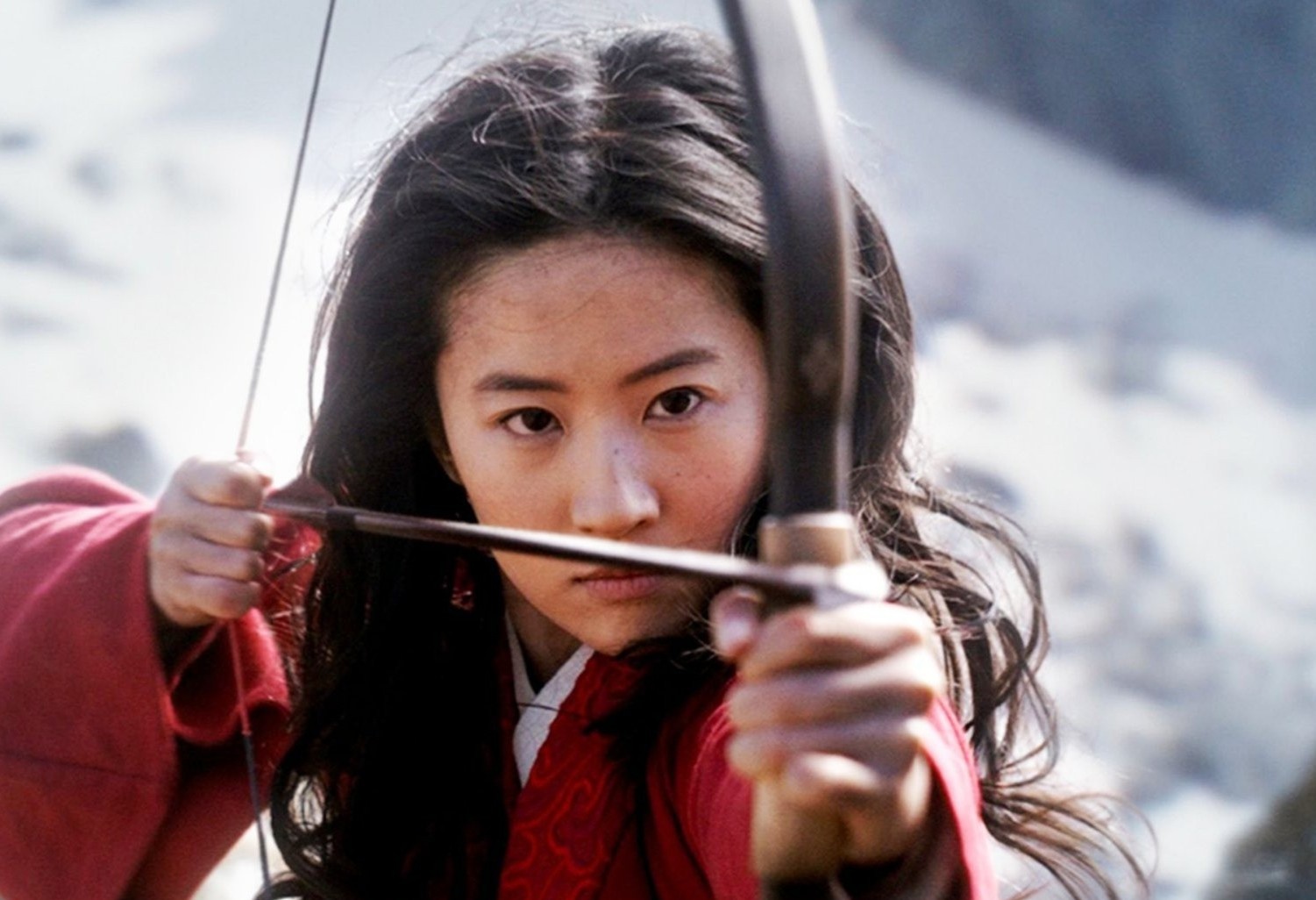 Khan gia Viet co the xem Hoa Moc Lan voi 29.000 dong hinh anh