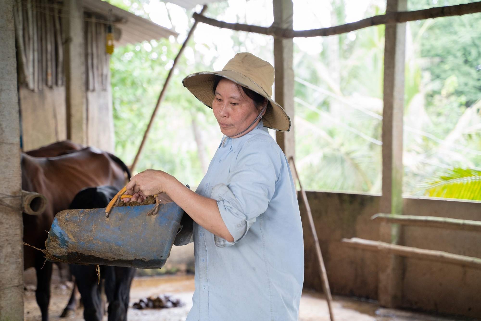 GreenFeed Viet Nam anh 1