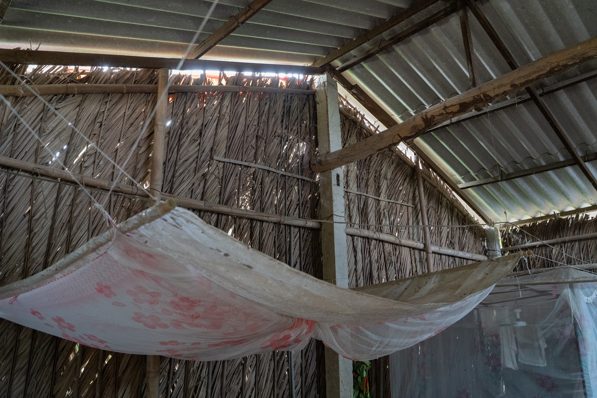 GreenFeed Viet Nam anh 4