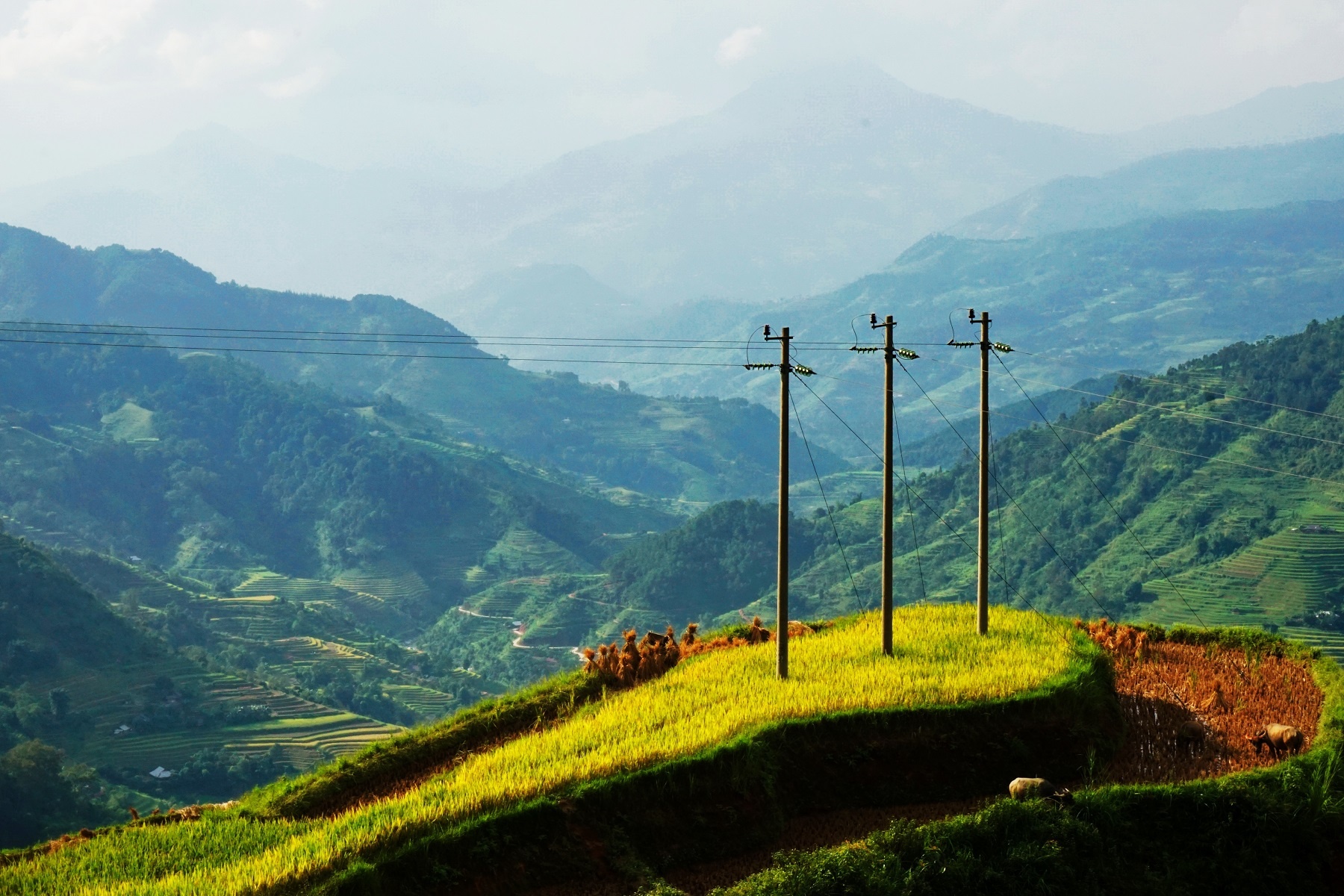 EVN ảnh 2 EVN anh 2