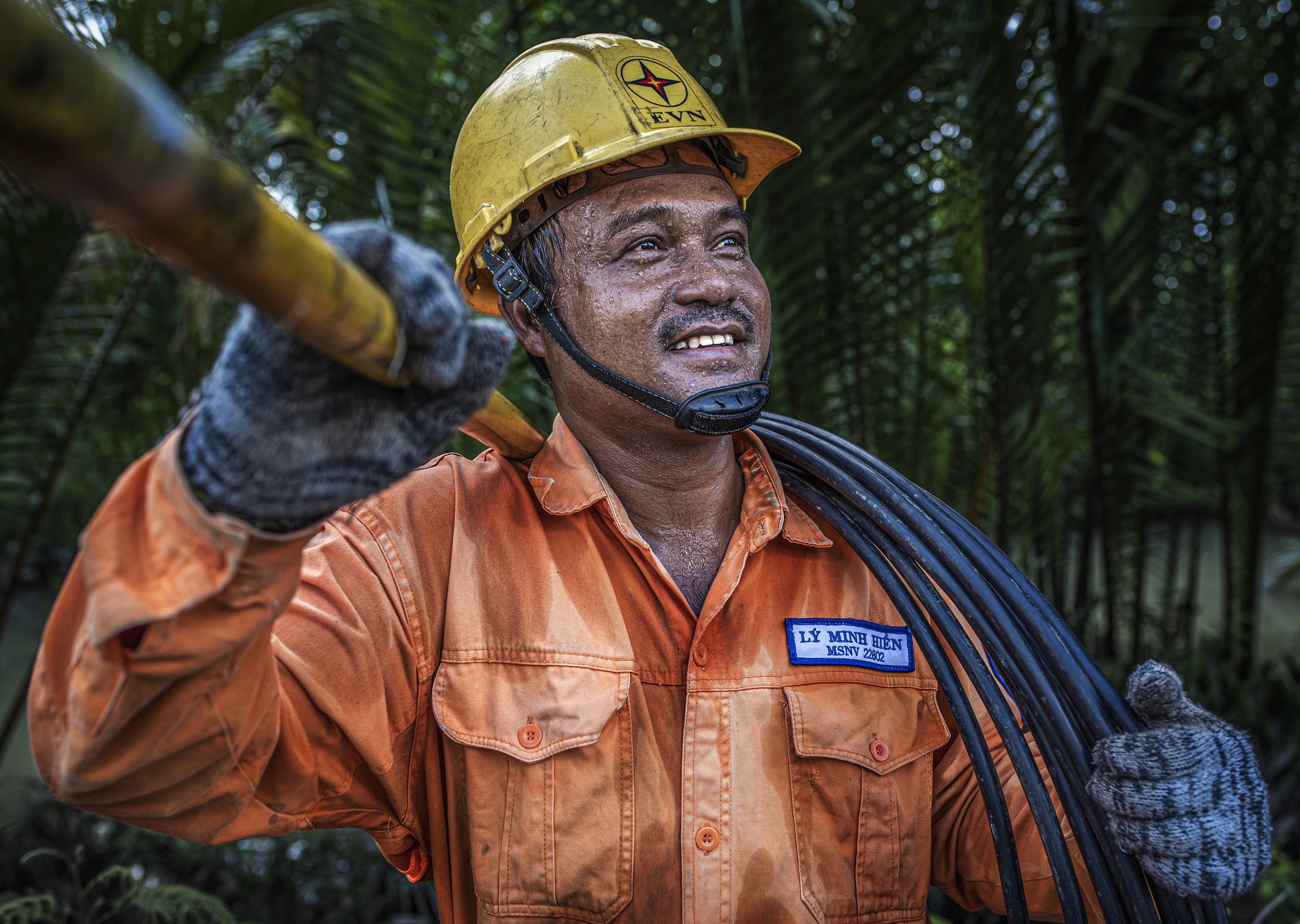 EVN ảnh 7 EVN anh 7