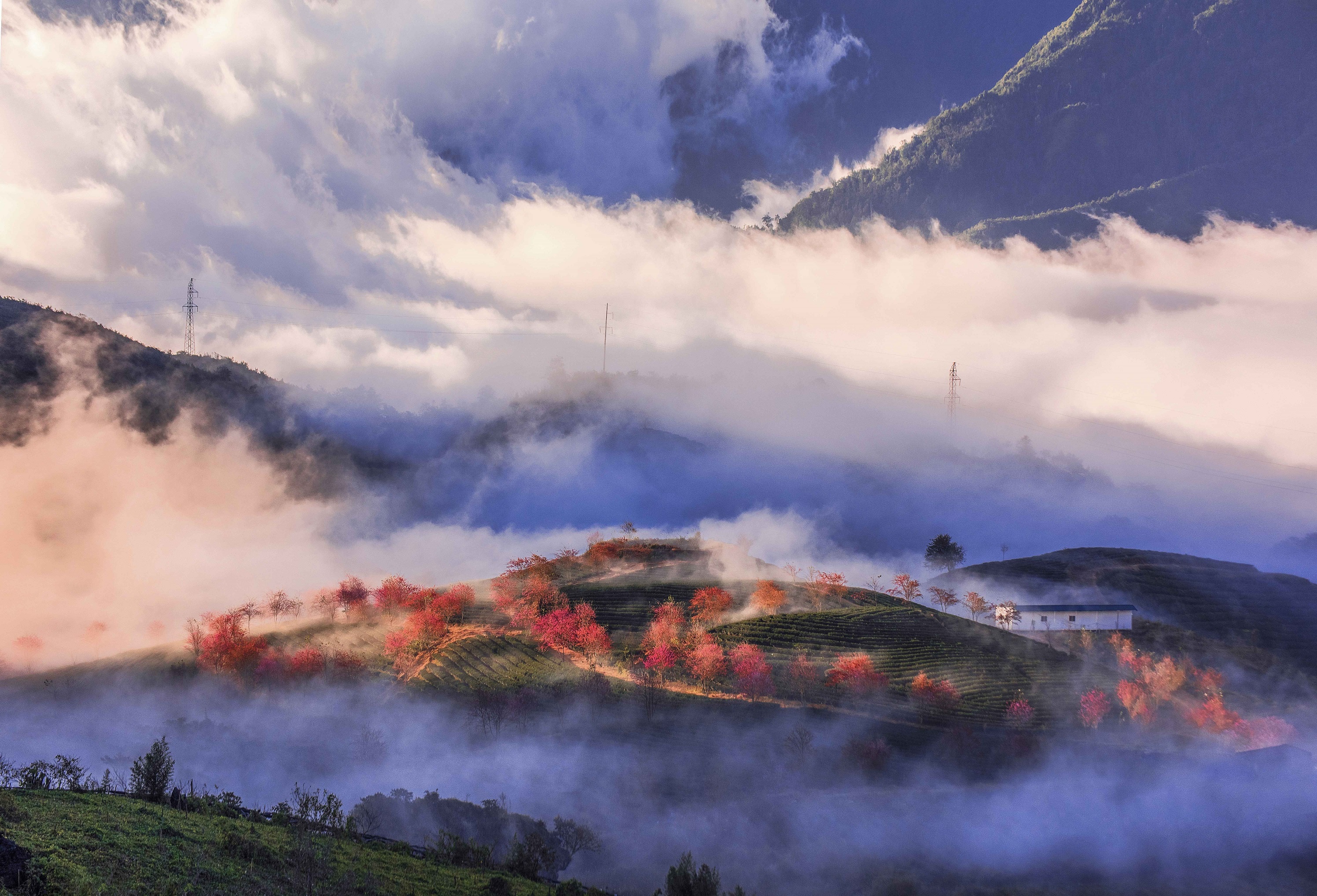 EVN ảnh 4 EVN anh 4