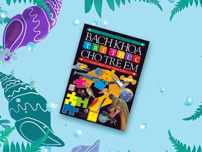 tiki ảnh 4 tiki anh 4