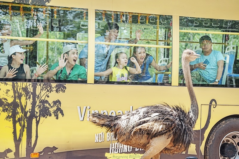 Vingroup ảnh 7 Vingroup anh 7