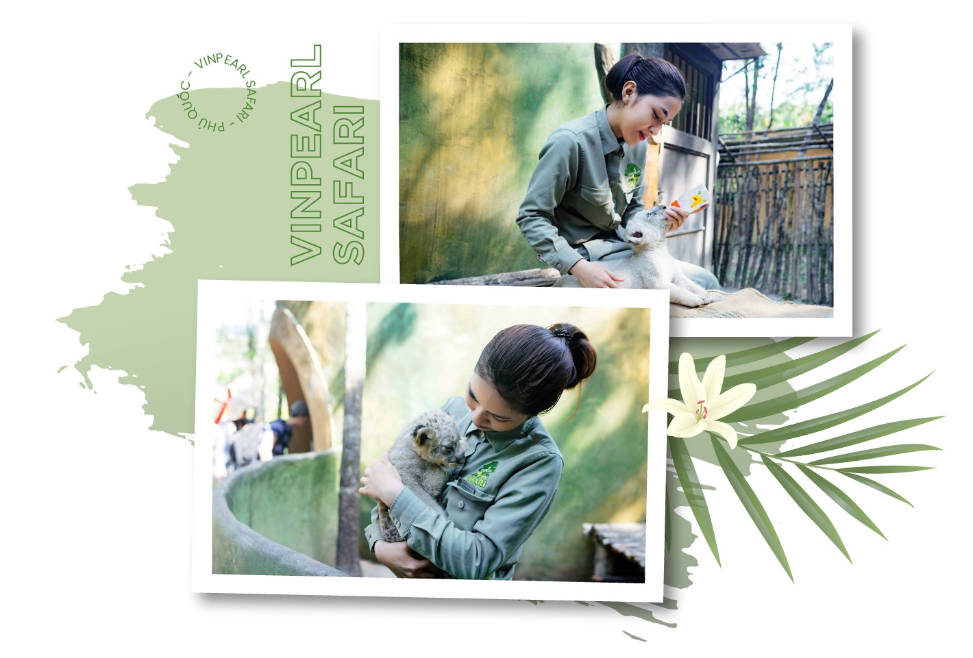 Vinpearl ảnh 6 Vinpearl anh 6