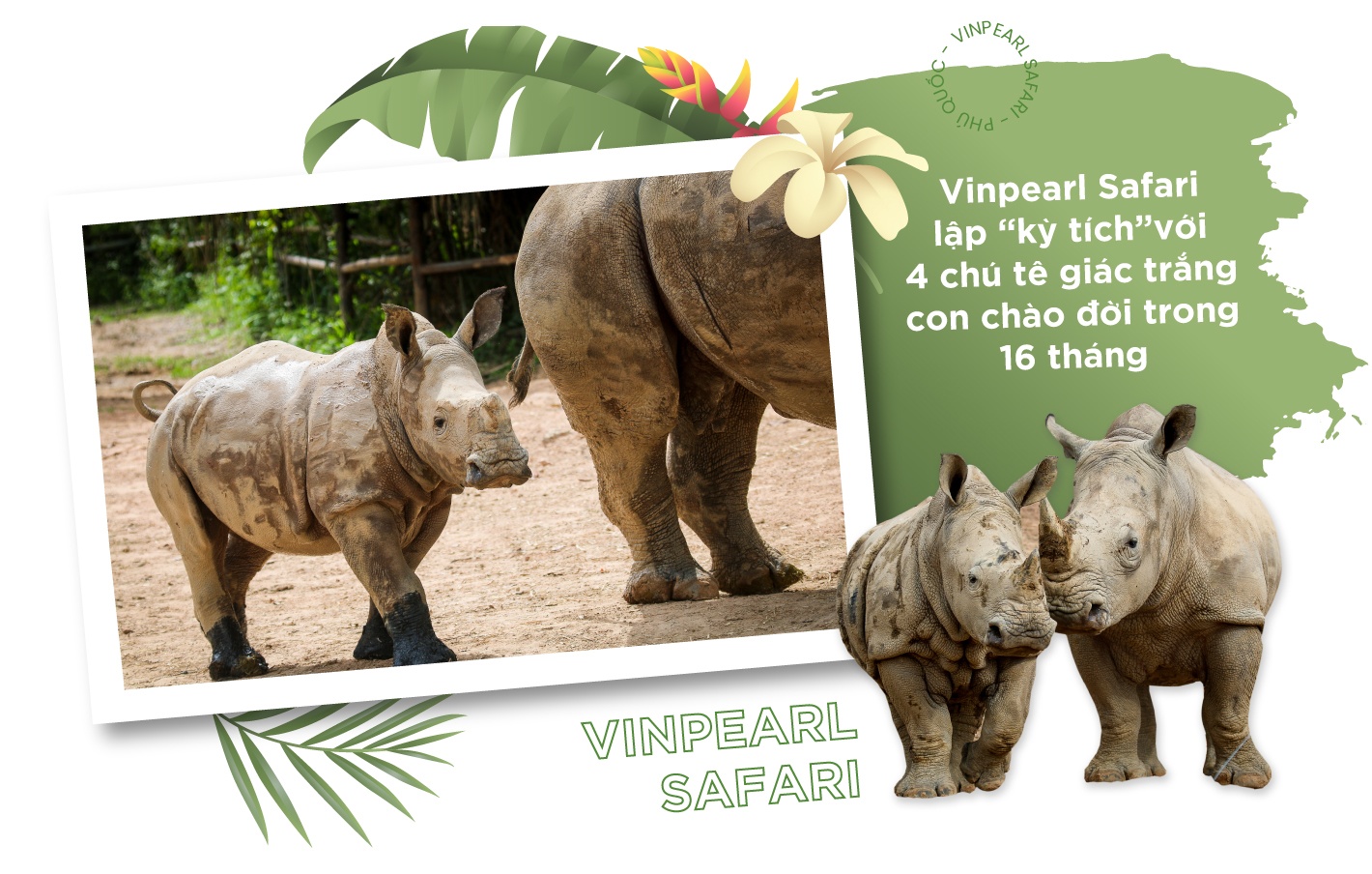 Vinpearl ảnh 2 Vinpearl anh 2