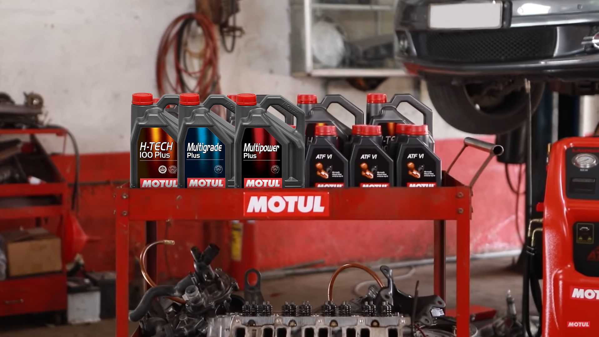 motul anh 2