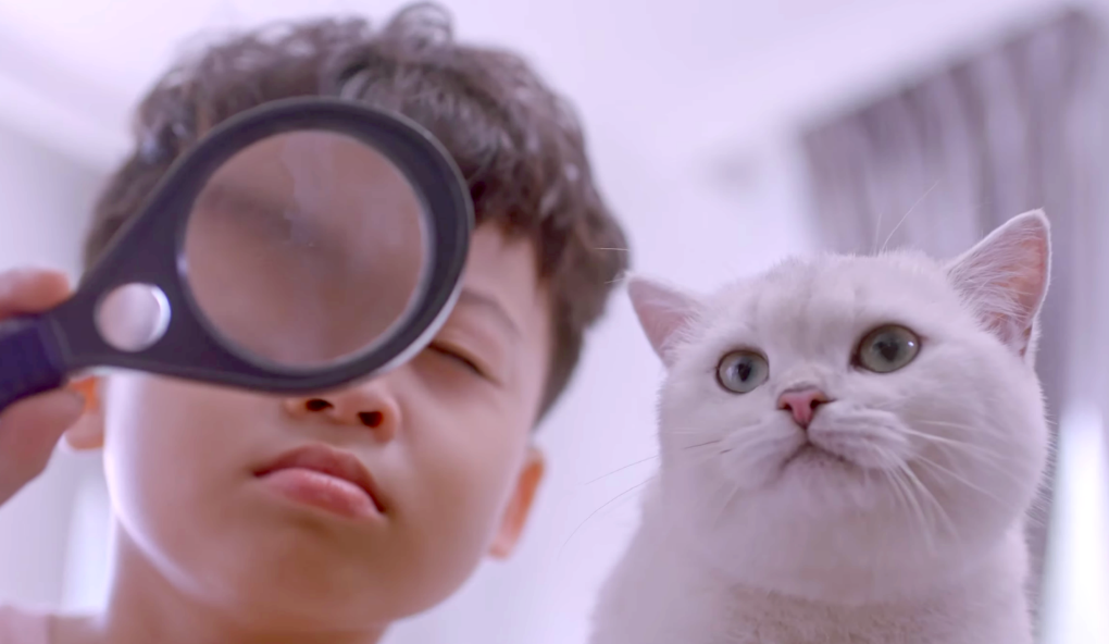 Minino Yum ảnh 1 Minino Yum anh 1