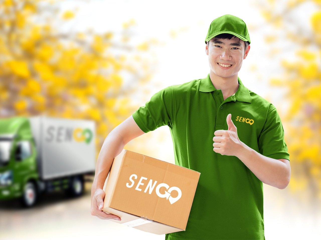 SenGo anh 2