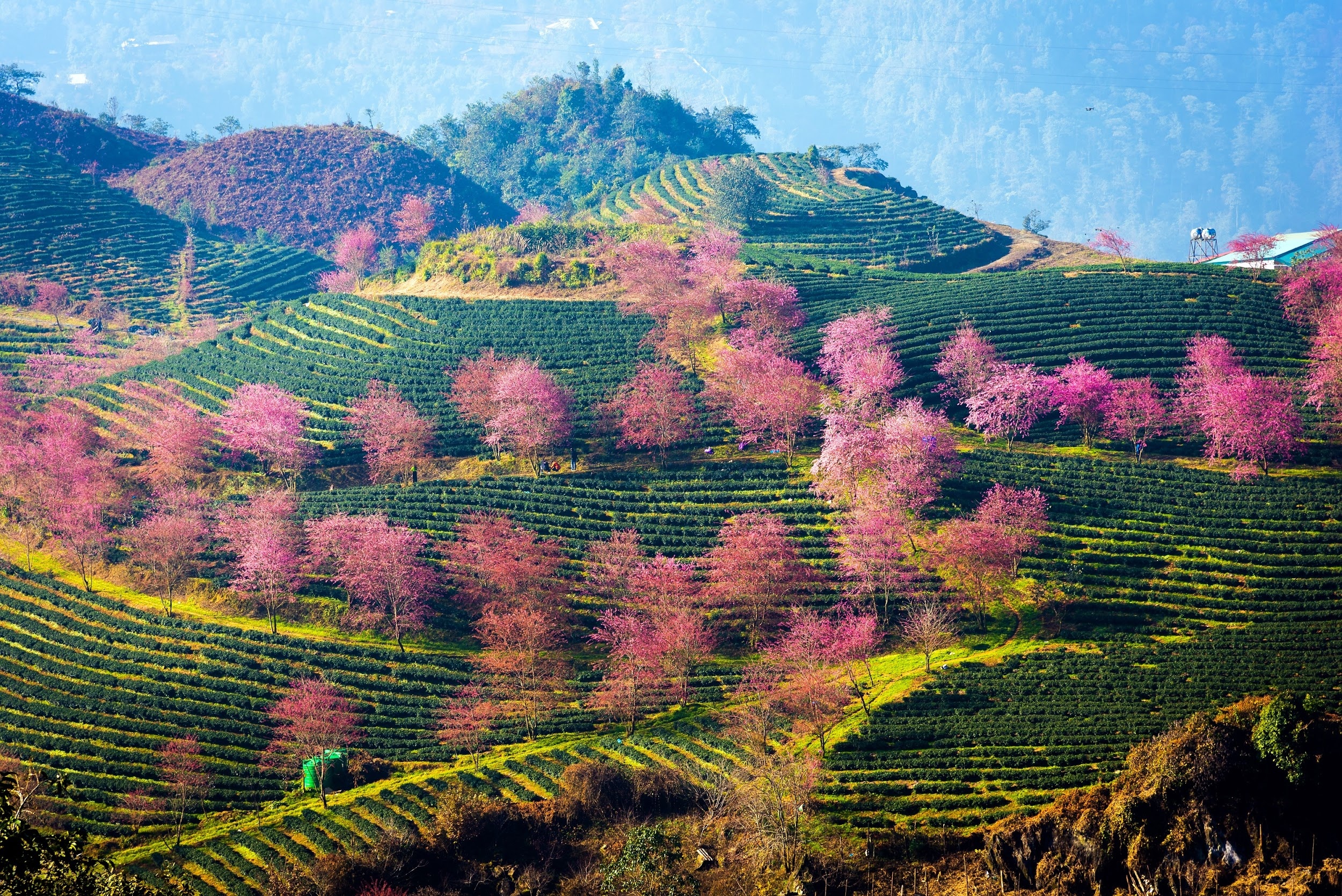 BenThanh Tourist anh 2