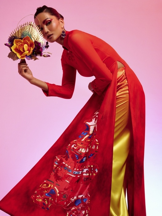 Do Trinh Hoai Nam anh 2