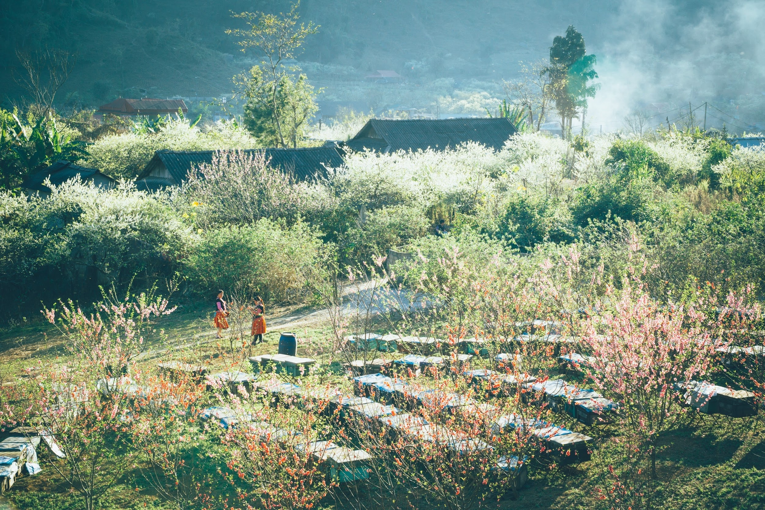 BenThanh Tourist anh 3