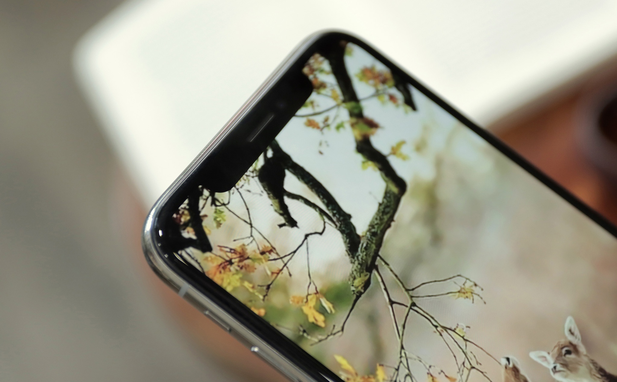 iPhone 12 series ảnh 2 iPhone 12 series anh 2