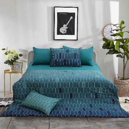 đệm Sông Hồng ảnh 4 dem Song Hong anh 4