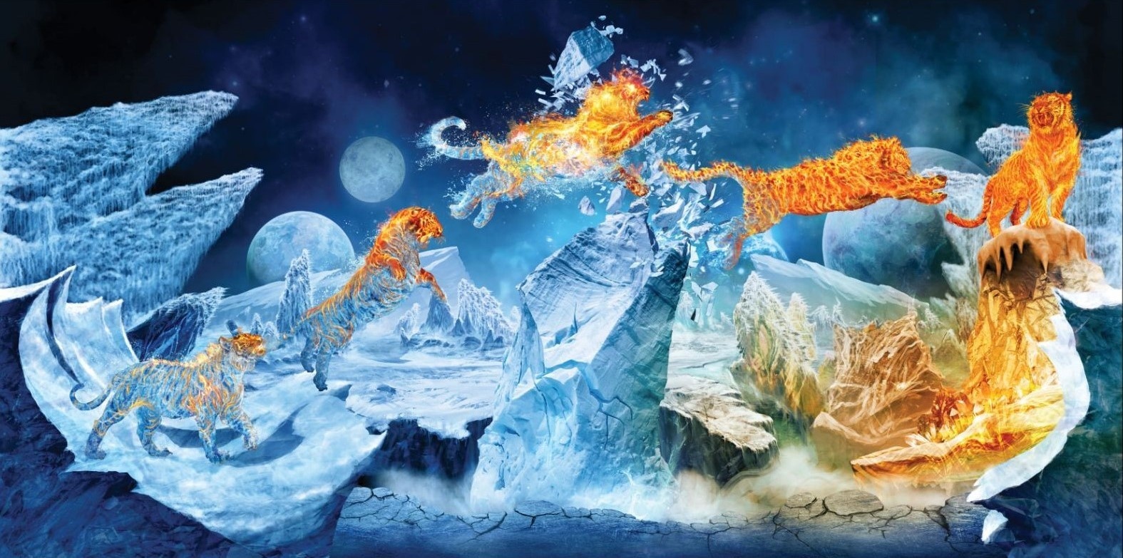 Tiger ảnh 2 Tiger anh 2