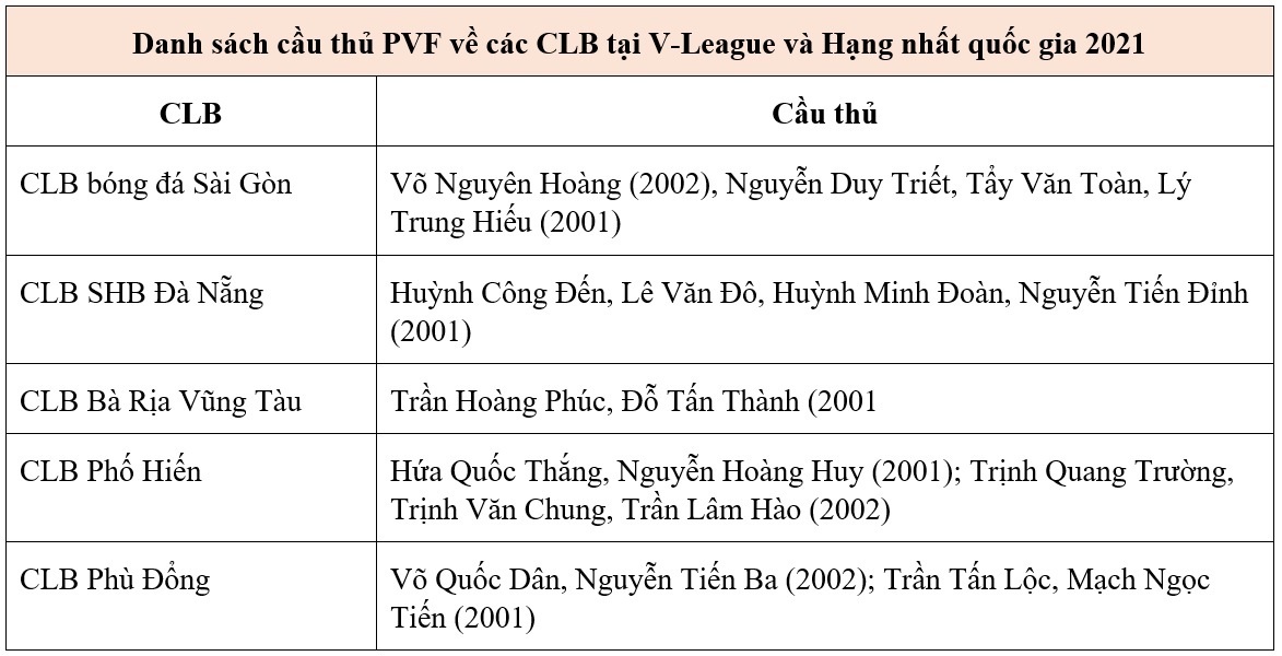 Trung tam Dao tao Bong da tre PVF anh 3