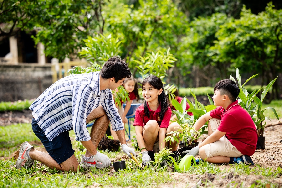 VAS ảnh 1 VAS anh 1