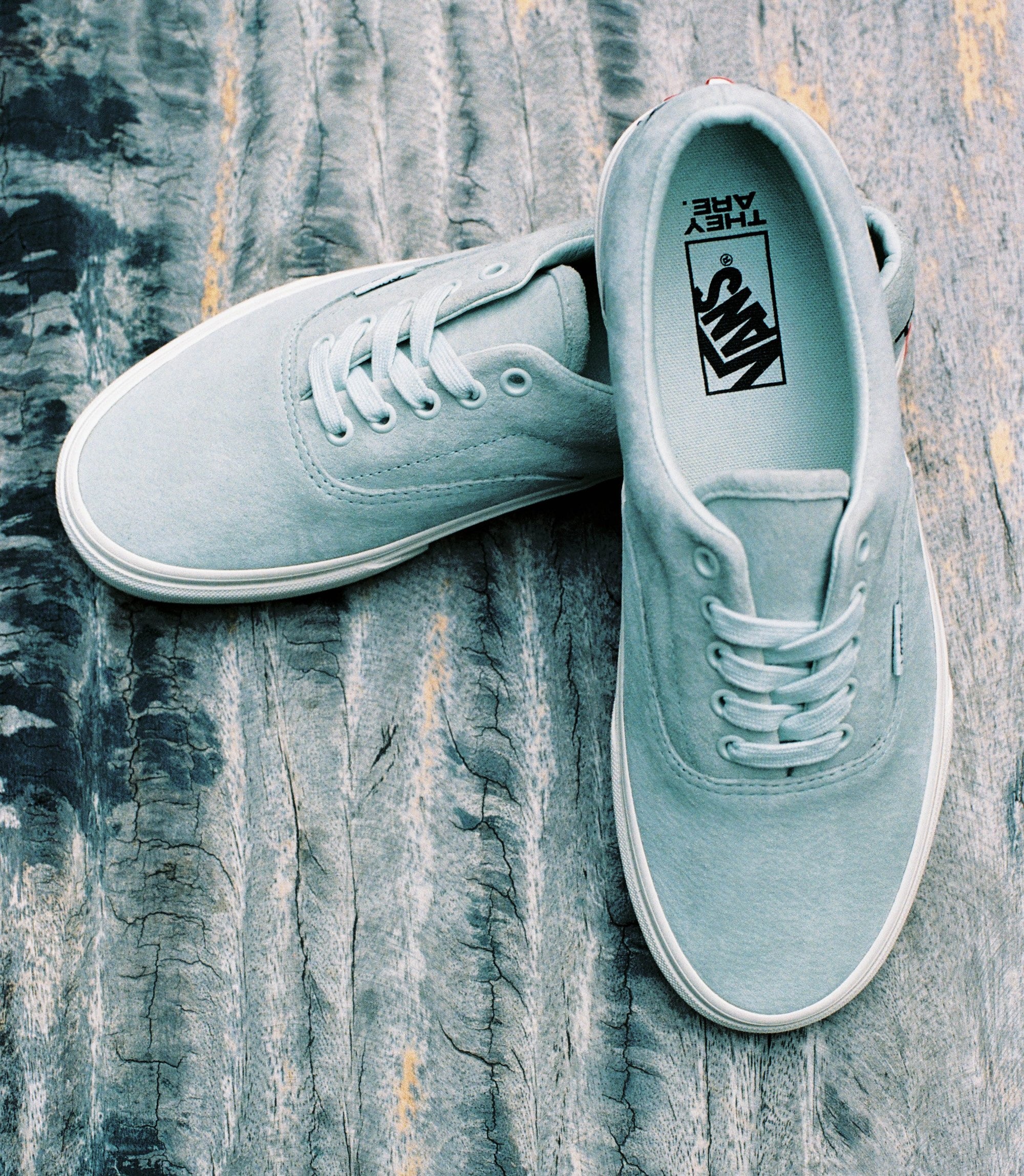 Vans ảnh 6 Vans anh 6